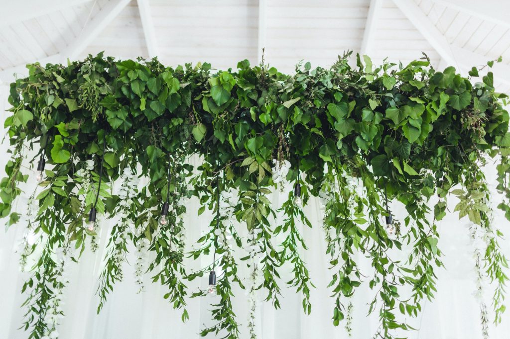 Une cascade de plantes tombantes mêlée à des luminaires, une idée déco à chiper.