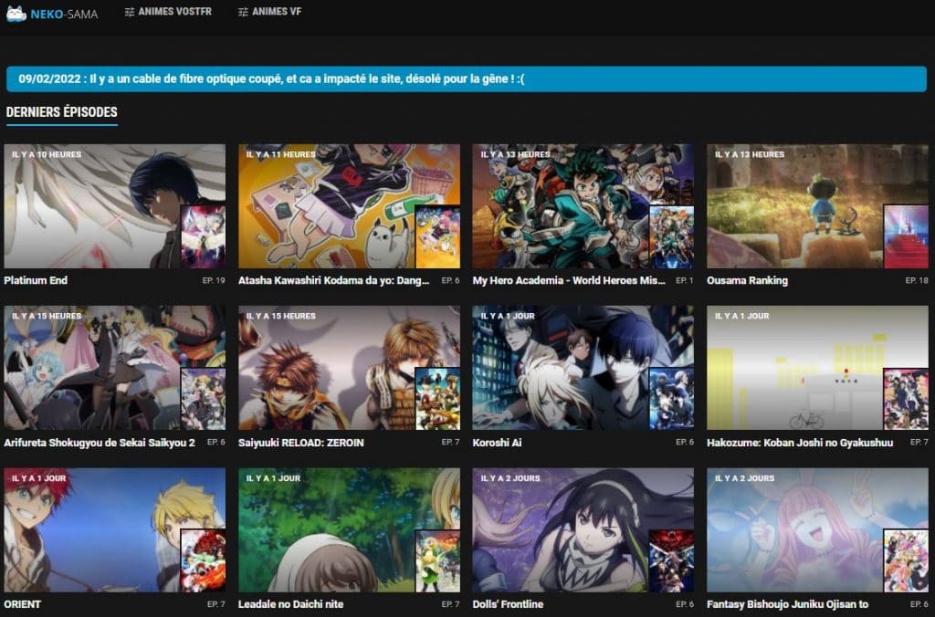 Neko-sama-avis-streaming-contenu