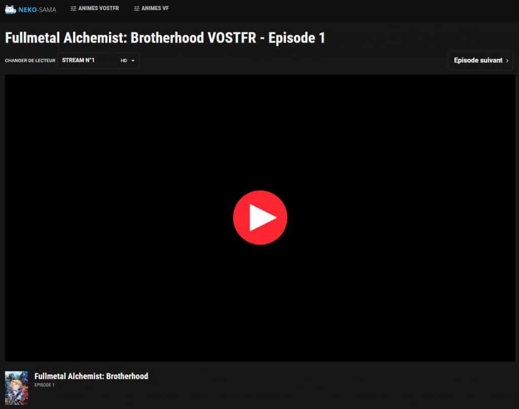 Neko-sama-avis-streaming-lecture-vidéo