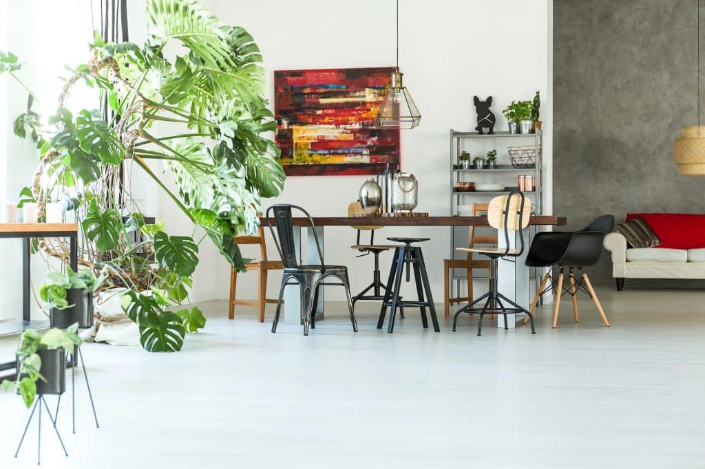 Une salle à manger décorée avec des plantes